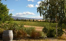 Grey Ridge Vineyard Experience