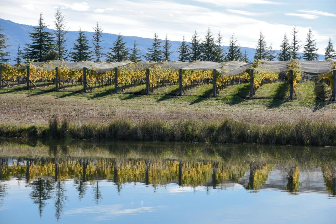 Bed and Breakfast Grey Ridge Vineyard Experience Alexandra Exterior foto